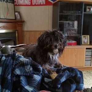 Meet your Posher, Jack